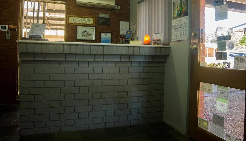 Junction Motel Wagga Wagga Wagga Exteriér fotografie